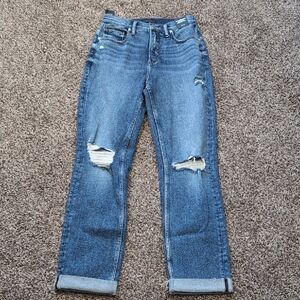 Silver Jeans 90's Boyfriend High Rise Straight Selvedge Jeans Size 26  NEW